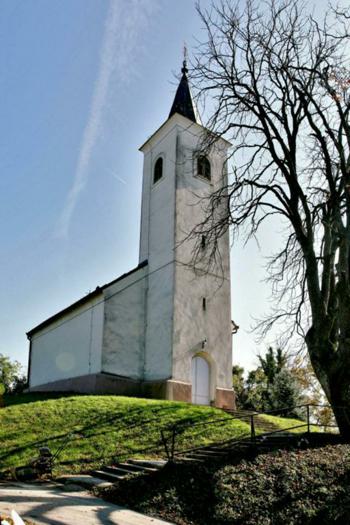 dubovec-1.jpg