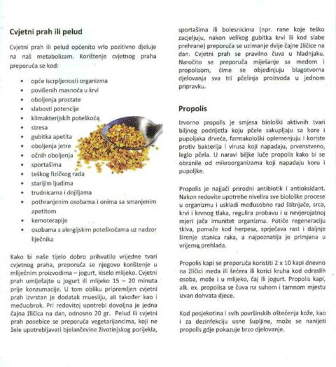ladisic-4.jpg