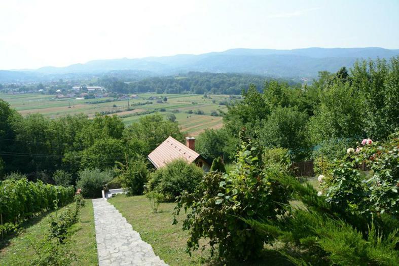 dsc_5683.jpg