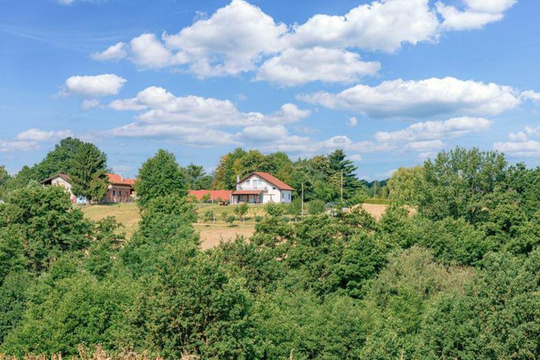 apartman-ivanic-(29.06.2021.)-082.jpg